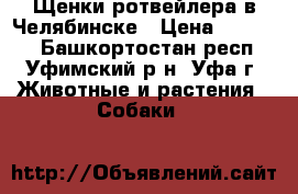 Щенки ротвейлера в Челябинске › Цена ­ 15 000 - Башкортостан респ., Уфимский р-н, Уфа г. Животные и растения » Собаки   